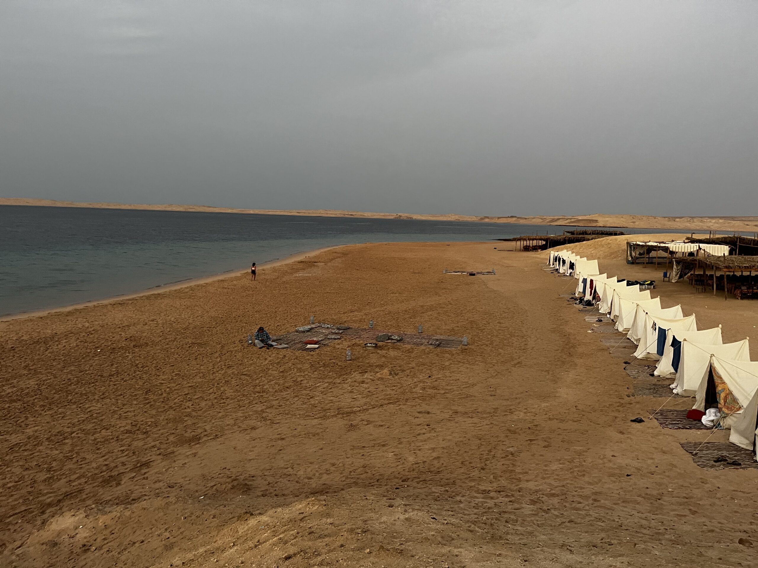 Ras Mohammed Day Trip